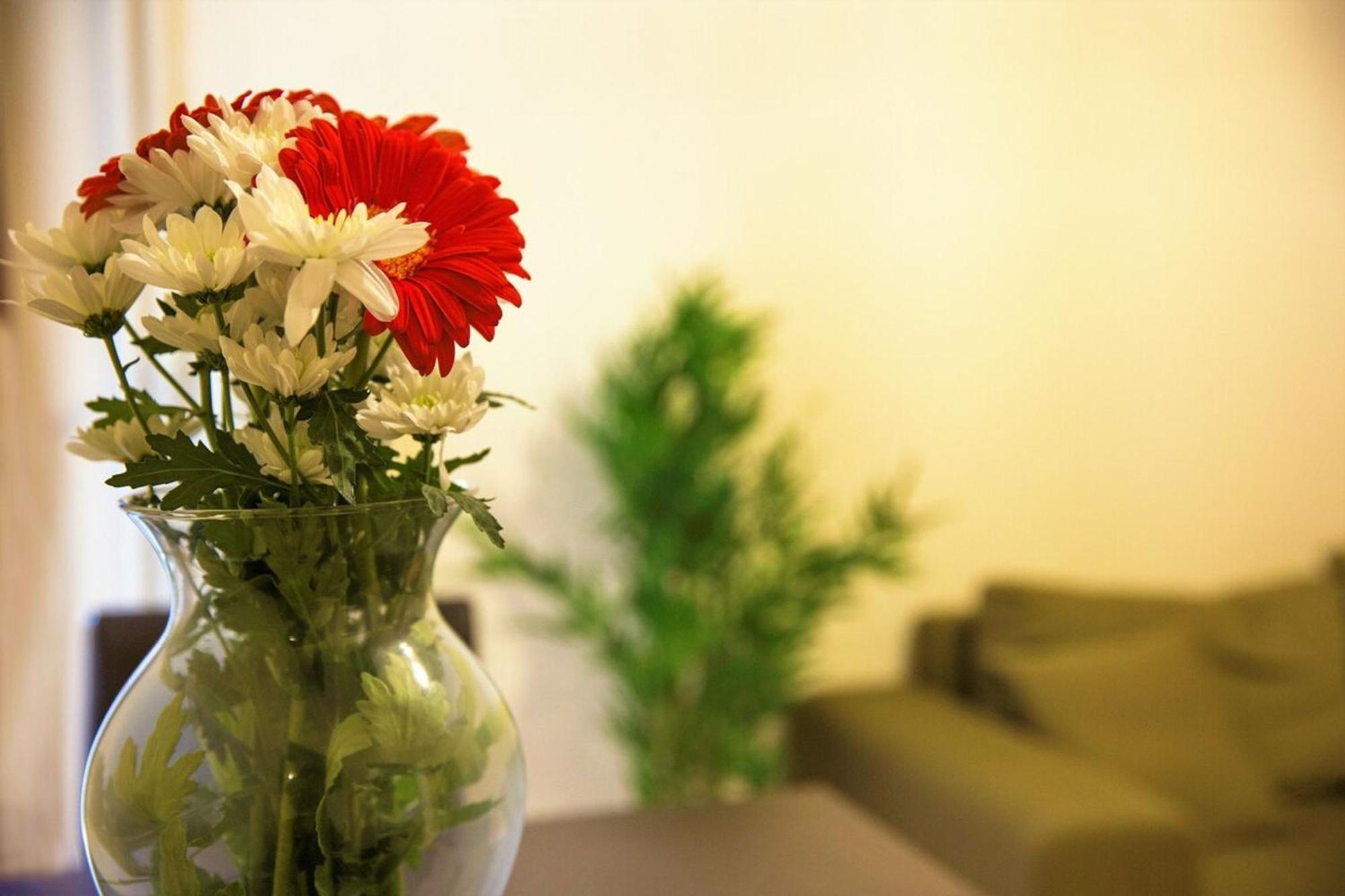 Peaceful Renovated Apartment Near Lycabettus Hill Афины Экстерьер фото